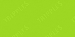 Determined case winner discriminated against in the work environment