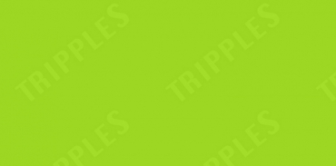 Determined case winner discriminated against in the work environment